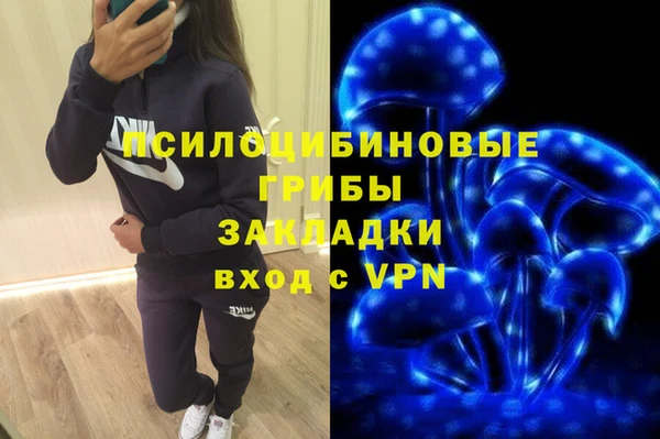 мдпв Абаза