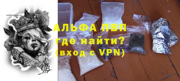 прущие грибы Вязьма