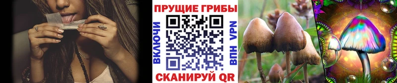 mega вход  Рязань  Псилоцибиновые грибы мухоморы  закладки 